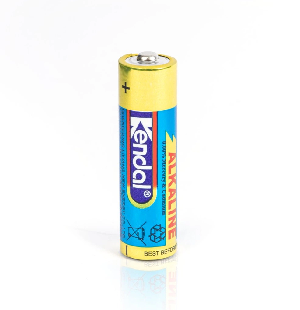 AA Alkaline Primary 1.5V Dry Cell Battery